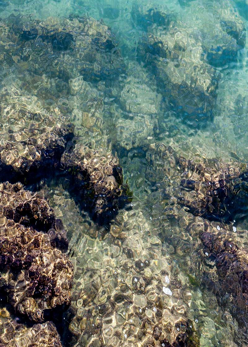 stories-grid-3